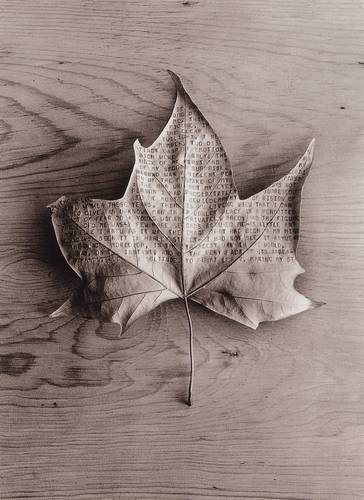 Chema Madoz