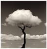 Chema Madoz