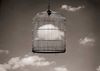 Chema Madoz