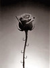 Chema Madoz