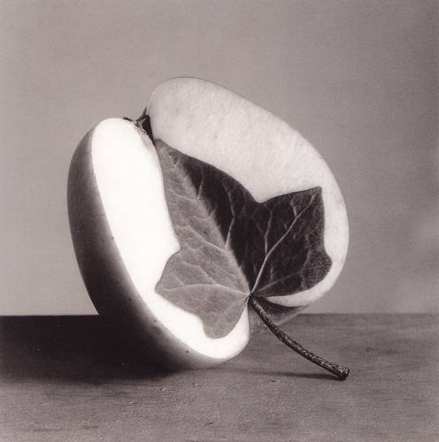 Chema Madoz
